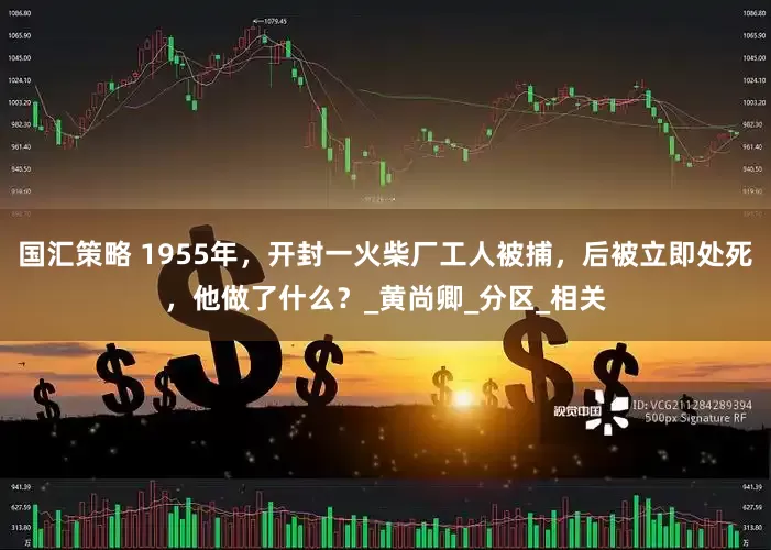国汇策略 1955年，开封一火柴厂工人被捕，后被立即处死，他做了什么？_黄尚卿_分区_相关
