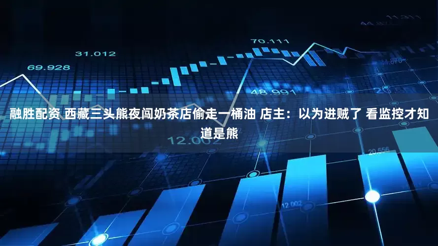 融胜配资 西藏三头熊夜闯奶茶店偷走一桶油 店主：以为进贼了 看监控才知道是熊