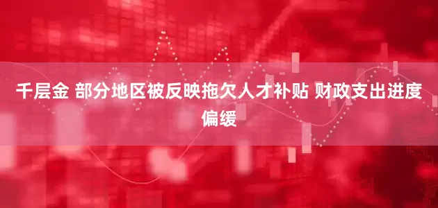 千层金 部分地区被反映拖欠人才补贴 财政支出进度偏缓